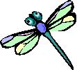 Dragonfly Farm logo